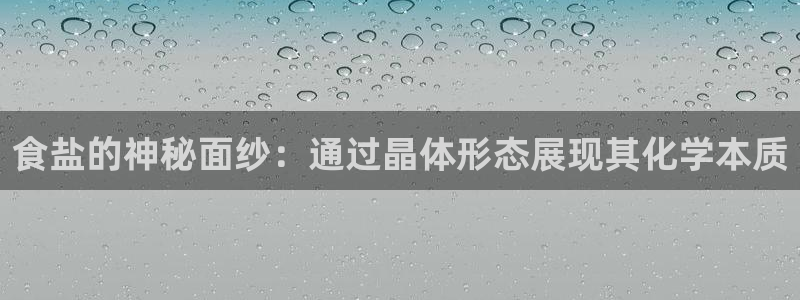 威九国际官网登录入口下载