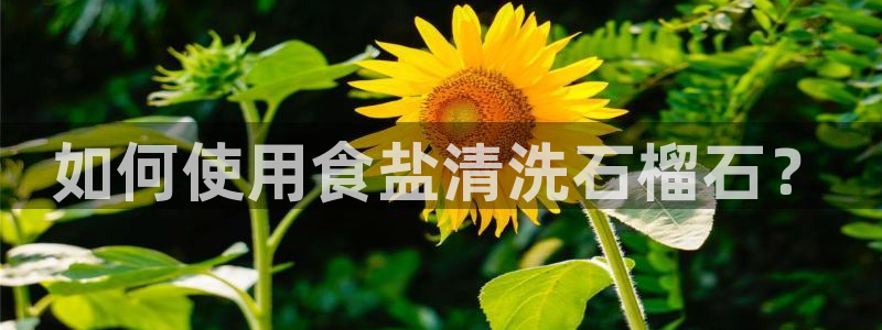 威九国际78mb特点