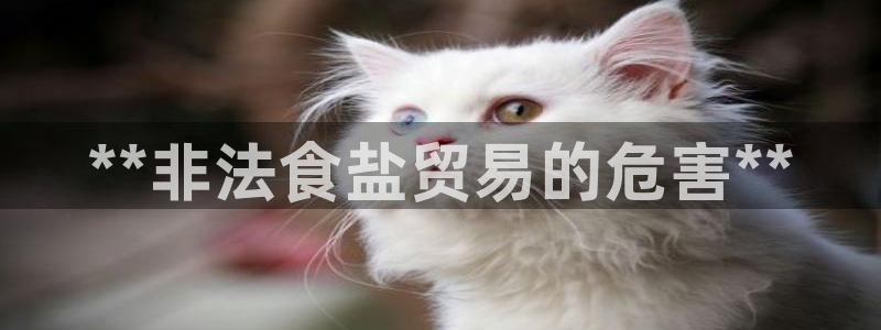 威九国际网站客服电话多少号码