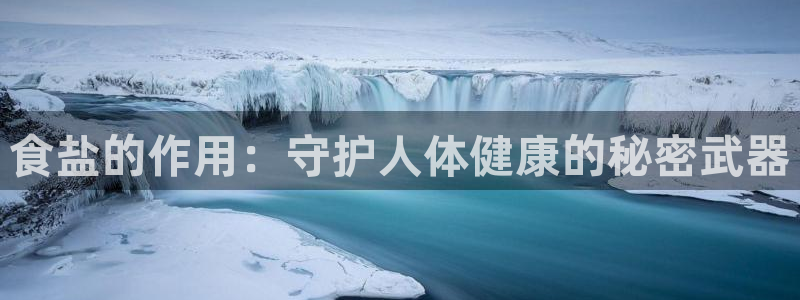 威九国际演员名单