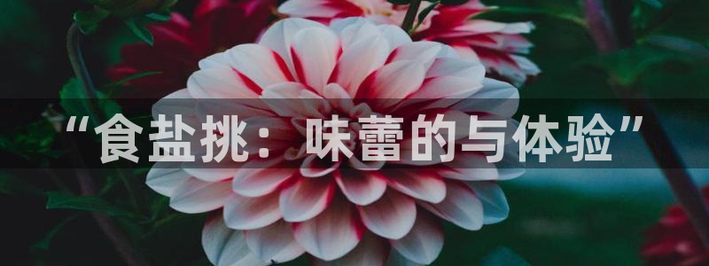 威九国际女明星