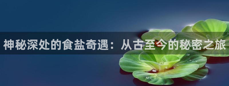 威九国际女演员名单介绍